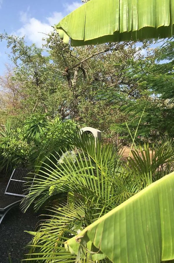 Gite Maison Flandrin Guadeloupe Vieux-Habitants Holiday home